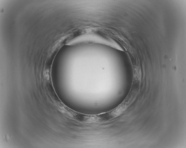 X0000070370621200606161319