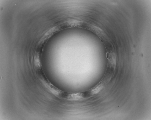 X0000070370622200606161319