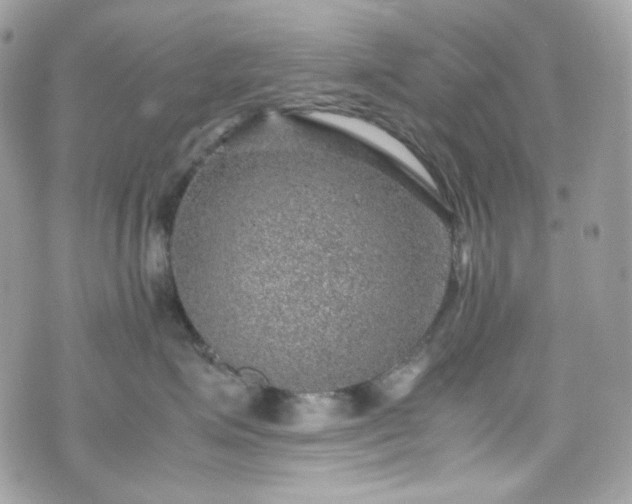 X0000070370623200606161319