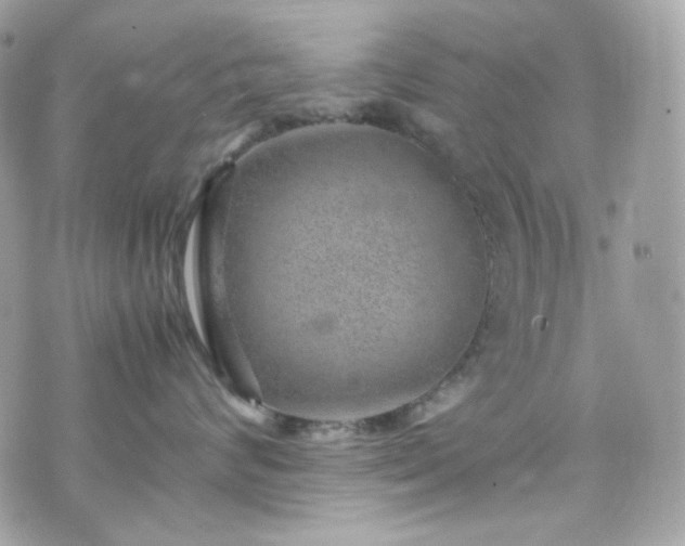 X0000070370624200606161319