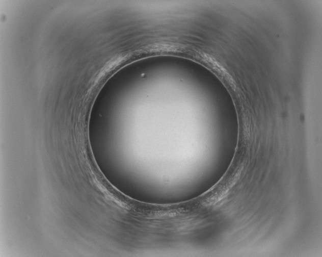 X0000070370625200606161318