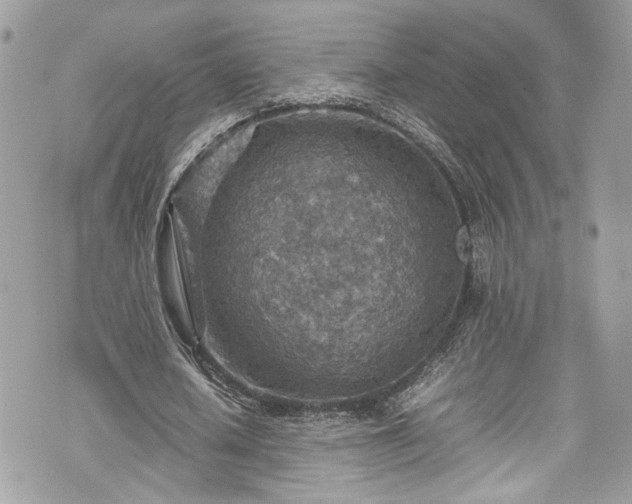 X0000070370626200606161318