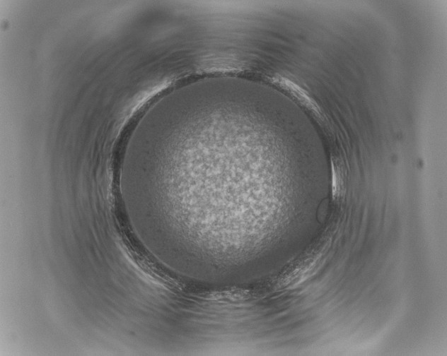 X0000070370627200606161318