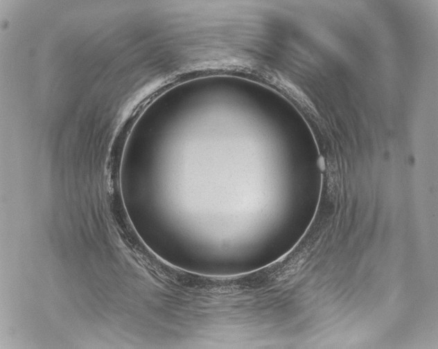 X0000070370628200606161318