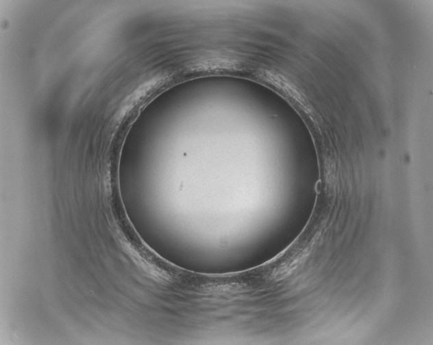 X0000070370629200606161318