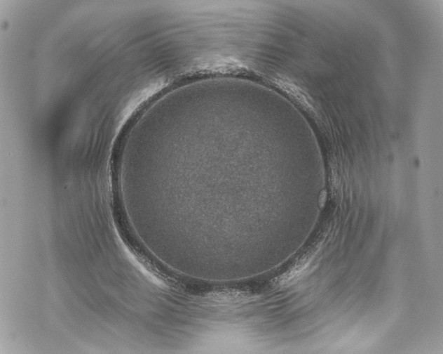 X0000070370630200606161318