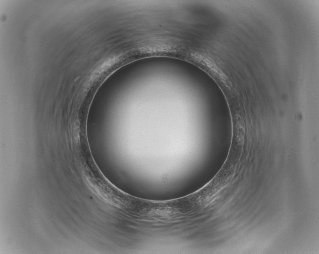 X0000070370631200606161318