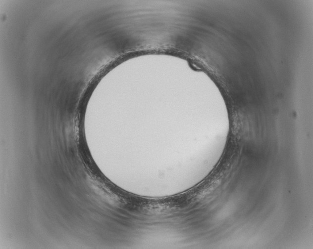 X0000070370632200606161318