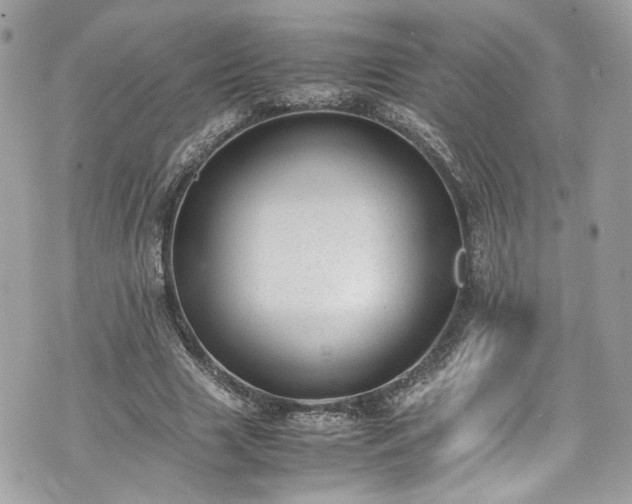 X0000070370633200606161318