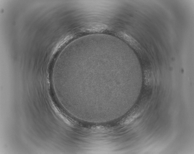 X0000070370634200606161318