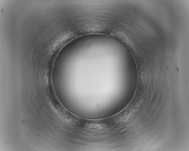 X0000070370635200606161318