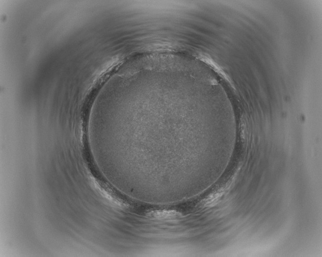 X0000070370637200606161318