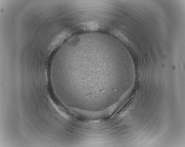 X0000070370638200606161318