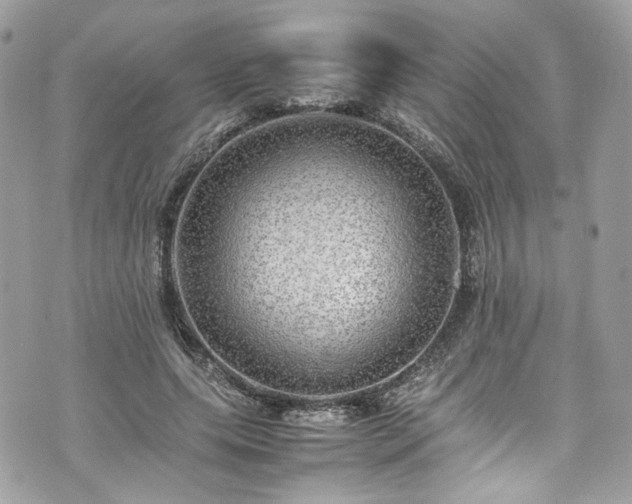 X0000070370639200606161318