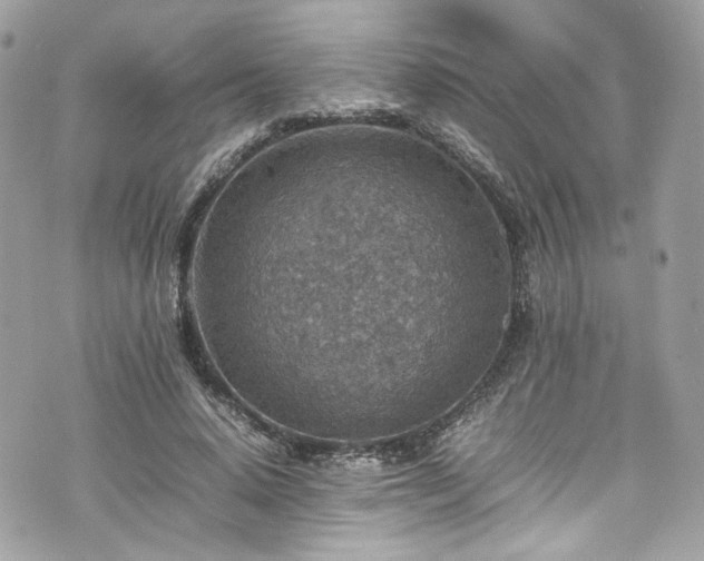 X0000070370640200606161318