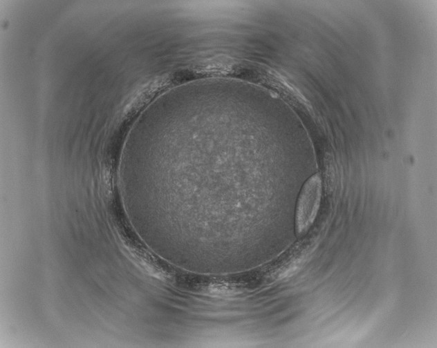 X0000070370641200606161318