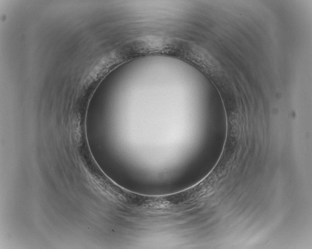 X0000070370642200606161318