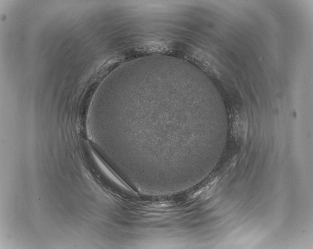 X0000070370643200606161318