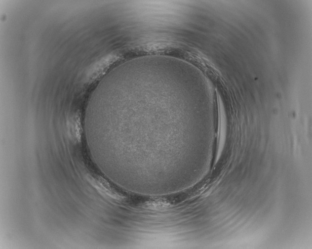 X0000070370644200606161318