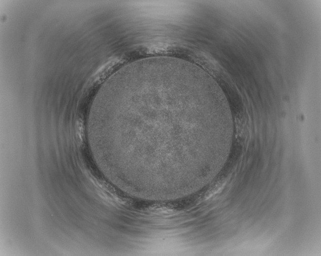 X0000070370648200606161318