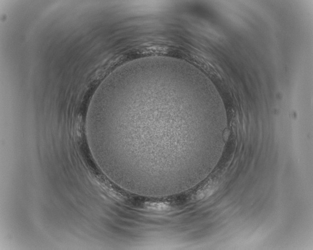 X0000070370649200606161318