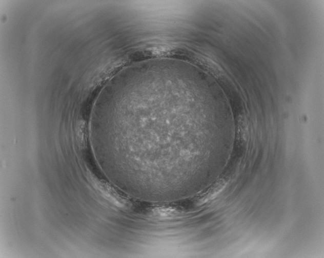 X0000070370650200606161318