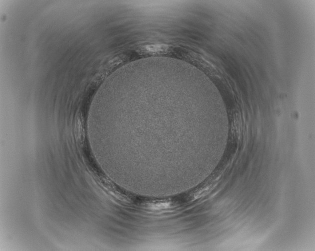 X0000070370651200606161318