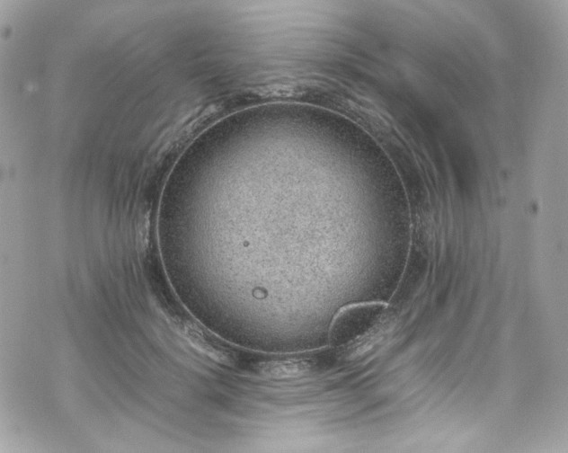 X0000070370652200606161318