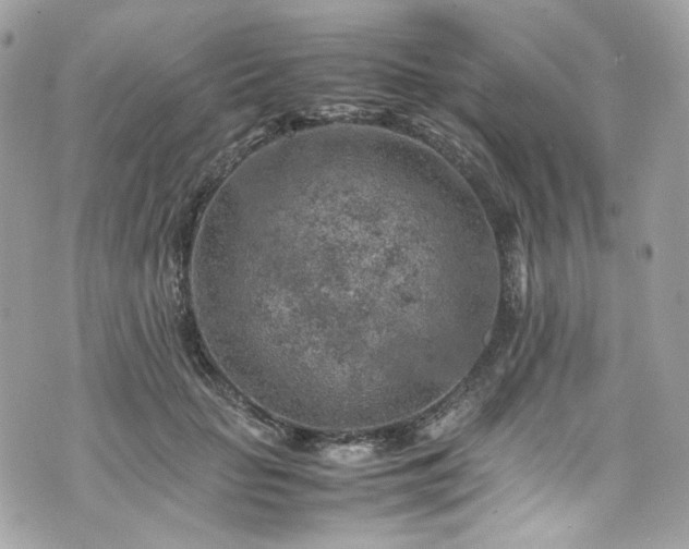 X0000070370653200606161318