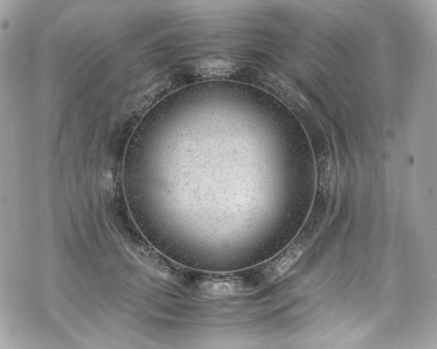 X0000070370655200606161318