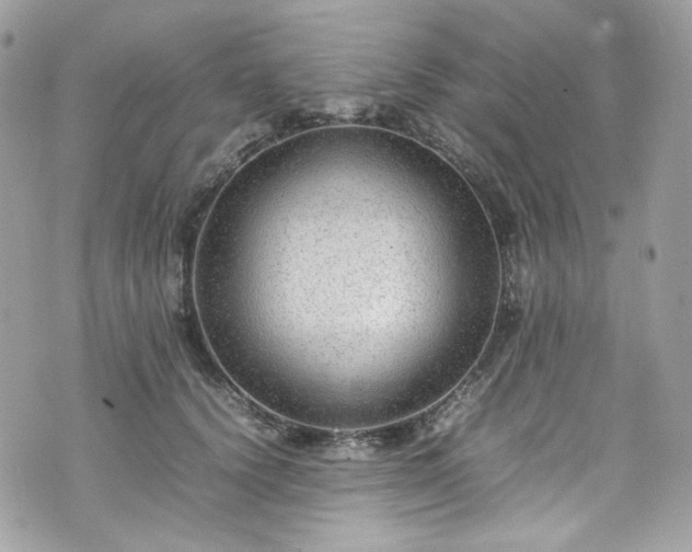 X0000070370656200606161318