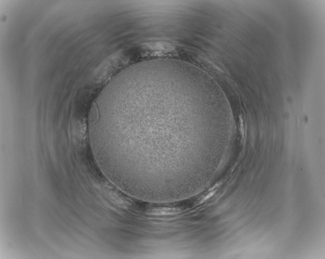 X0000070370657200606161318