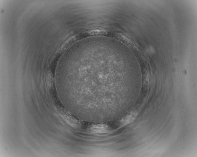 X0000070370659200606161318