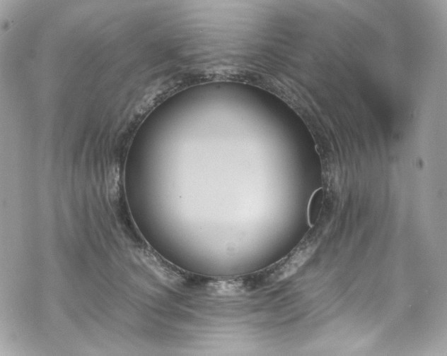 X0000070370660200606161318