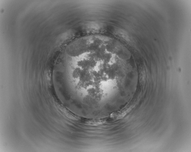 X0000070370661200606161318