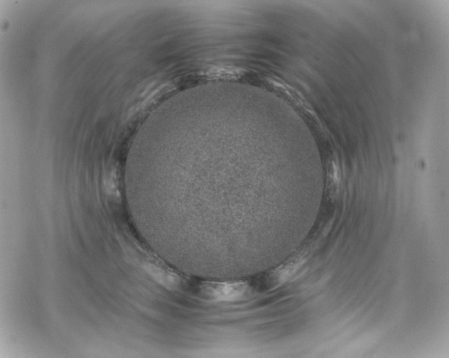 X0000070370663200606161318