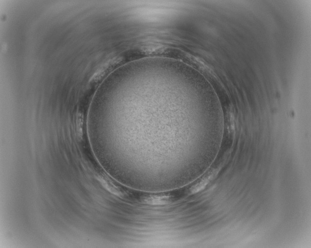 X0000070370664200606161318