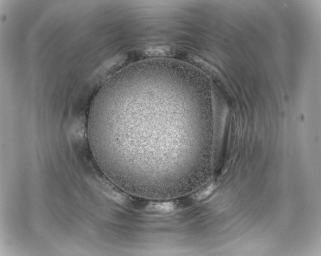 X0000070370665200606161318