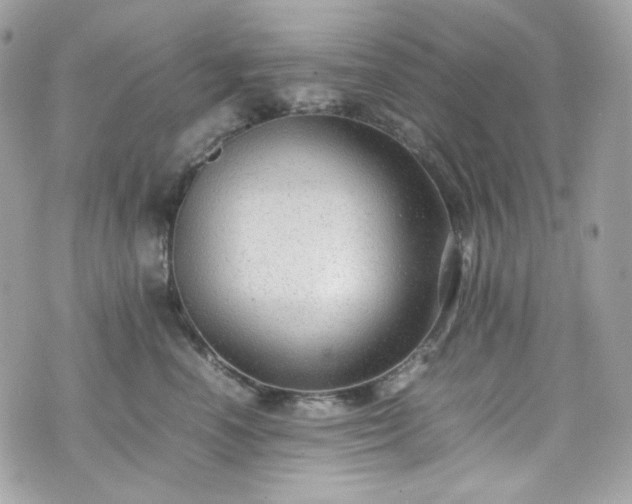 X0000070370666200606161318