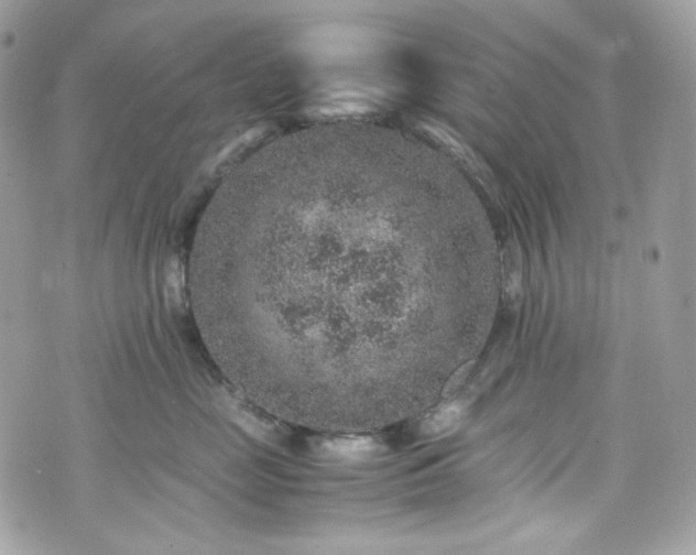 X0000070370669200606161319