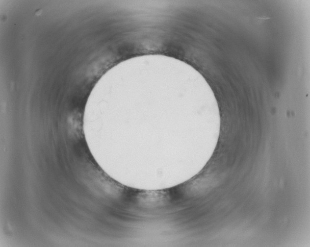 X0000070370672200606161319