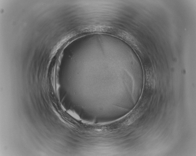 X0000070370674200606161318