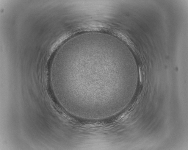 X0000070370675200606161318