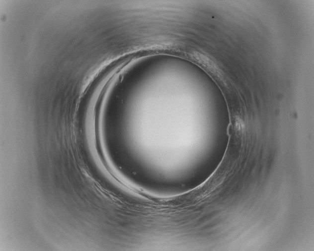 X0000070370676200606161318