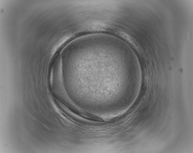 X0000070370677200606161318