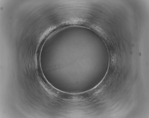 X0000070370678200606161318