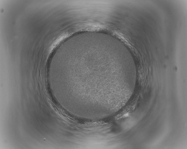 X0000070370679200606161318