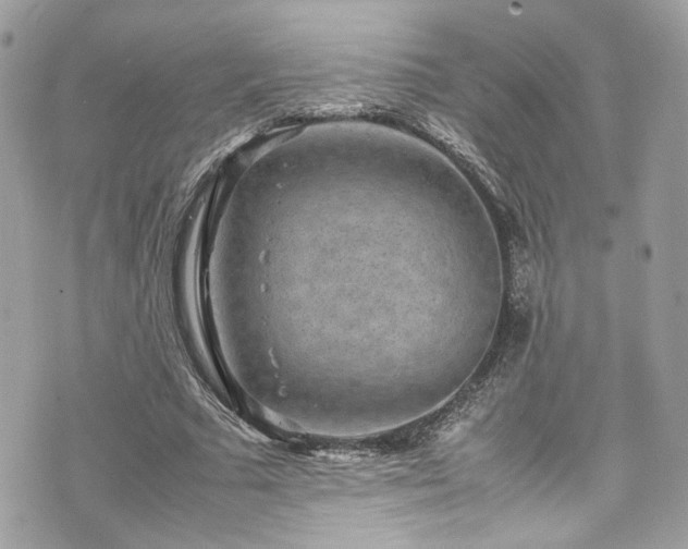 X0000070370681200606161318