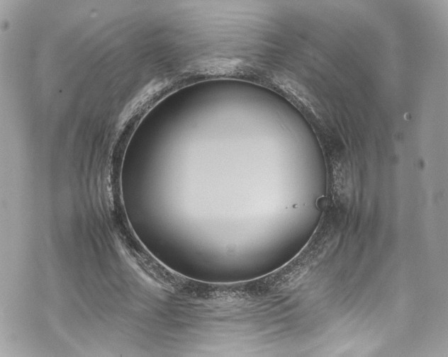 X0000070370682200606161318