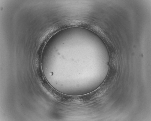 X0000070370683200606161318